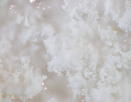 Sorbitol Image