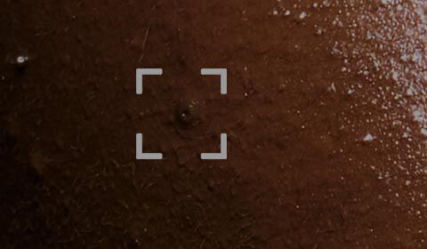 Anti-Aging Creams SkinCeuticals