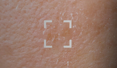 Anti-Aging Creams SkinCeuticals