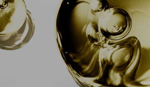 Vitamin C Serum SkinCeuticals