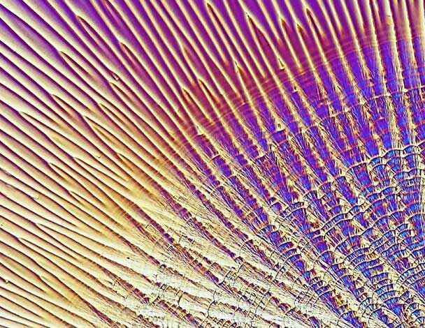 Vitamin C is a skincare ingredient for brightening and collagen support