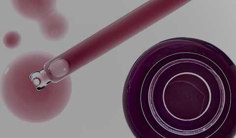 Anti-Aging Creams SkinCeuticals