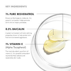 Resveratrol B E Antioxidant Night Serum